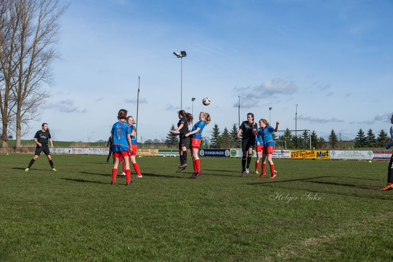 Bild 256 - C-Juniorinnen SV Steinhorst/Labenz - TSV Friedrichsberg-Busdorf : Ergebnis: 5:0